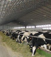 Маркетинговое исследование российского рынка оборудования для промышленного содержания крупного роготого скота