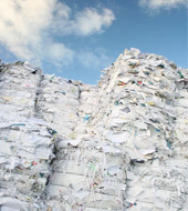 Маркетинговое исследование рынка переработки бумажных отходов (рынок макулатуры, вер.4)